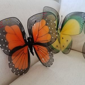 Butterflies